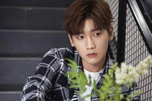 贾四鼎恋情爆料最新消息,神秘女友身份引热议